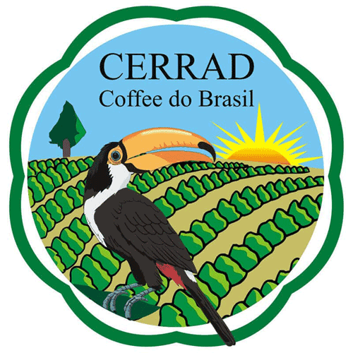 画像1: ブラジル　アマレロブルボン