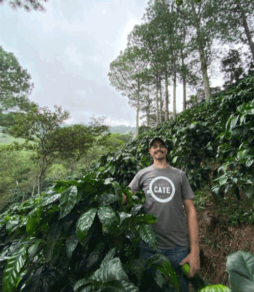 画像2: エルサルバドル　バラム農園　限定入荷